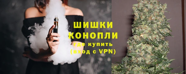 прущие грибы Алзамай
