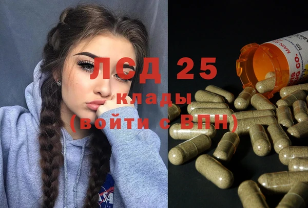 прущие грибы Алзамай