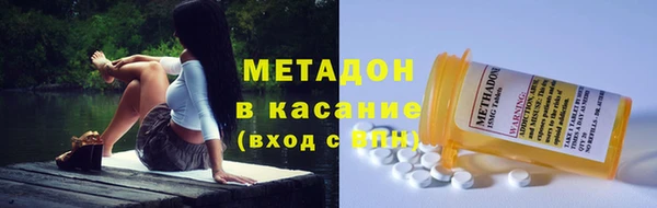 прущие грибы Алзамай