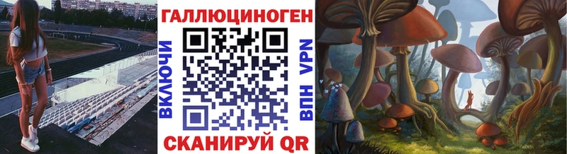 Галлюциногенные грибы Psilocybine cubensis  продажа наркотиков  Лермонтов 